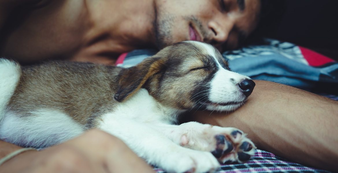 Czy pies powinien spać z właścicielem?